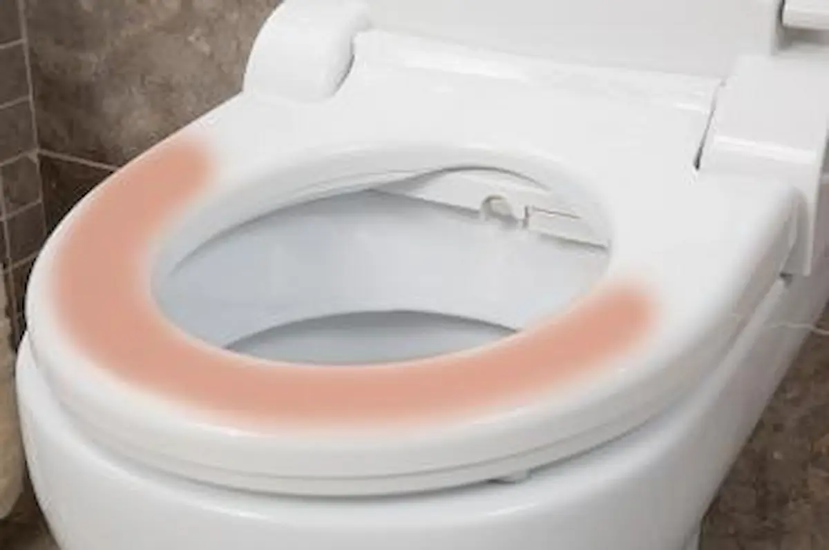 Tampo Sanitário Aquatec Pure Bidet - Image 6
